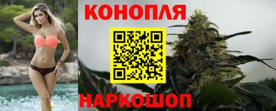 спиды Будённовск